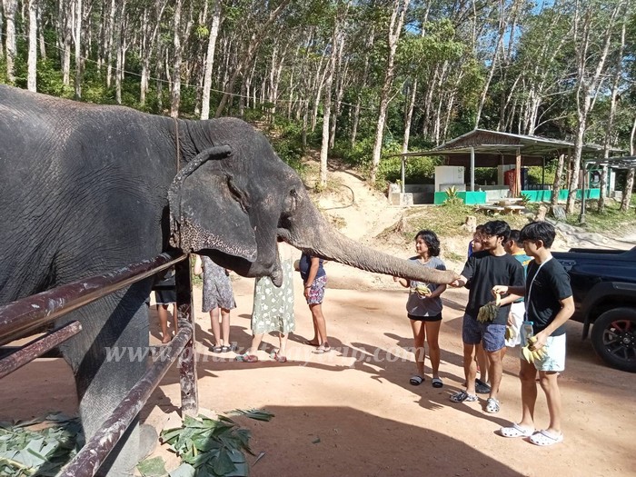 Elephant Sanctuary